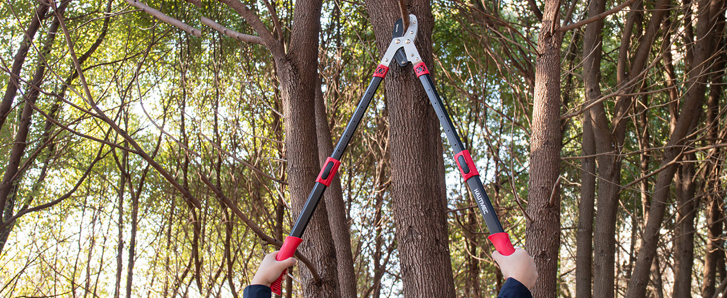 HAUTMEC Anvil Loppers for Tree Trimming Heavy Duty, Extendable 27-37'' Garden Bypass Loppers with Compound Action System, 2" Cutting Capacity, Labor-Saving Tree Trimmer for Yard, Lawn Branch Cutter HT0149