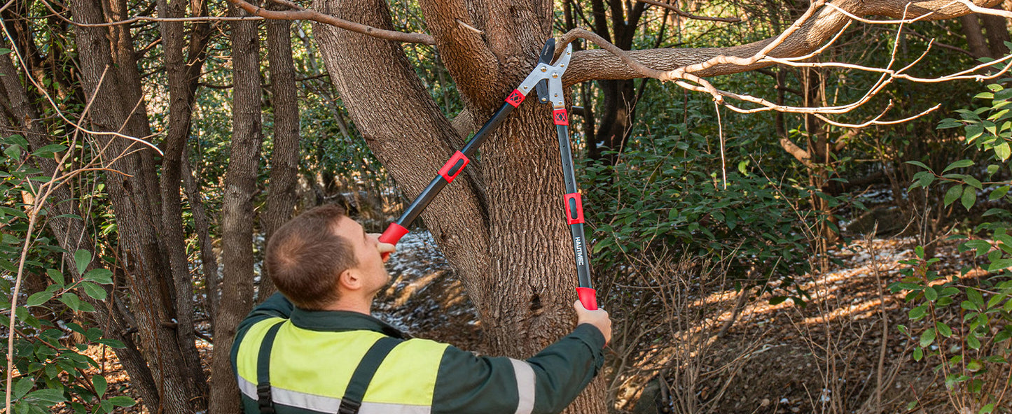 HAUTMEC Anvil Loppers for Tree Trimming Heavy Duty, Extendable 27-37'' Garden Bypass Loppers with Compound Action System, 2" Cutting Capacity, Labor-Saving Tree Trimmer for Yard, Lawn Branch Cutter HT0149